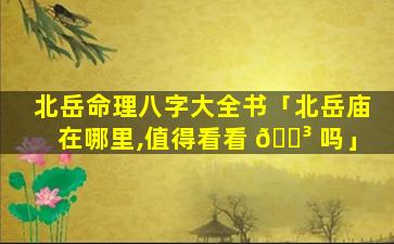 北岳命理八字大全书「北岳庙在哪里,值得看看 🐳 吗」